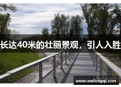 长达40米的壮丽景观，引人入胜